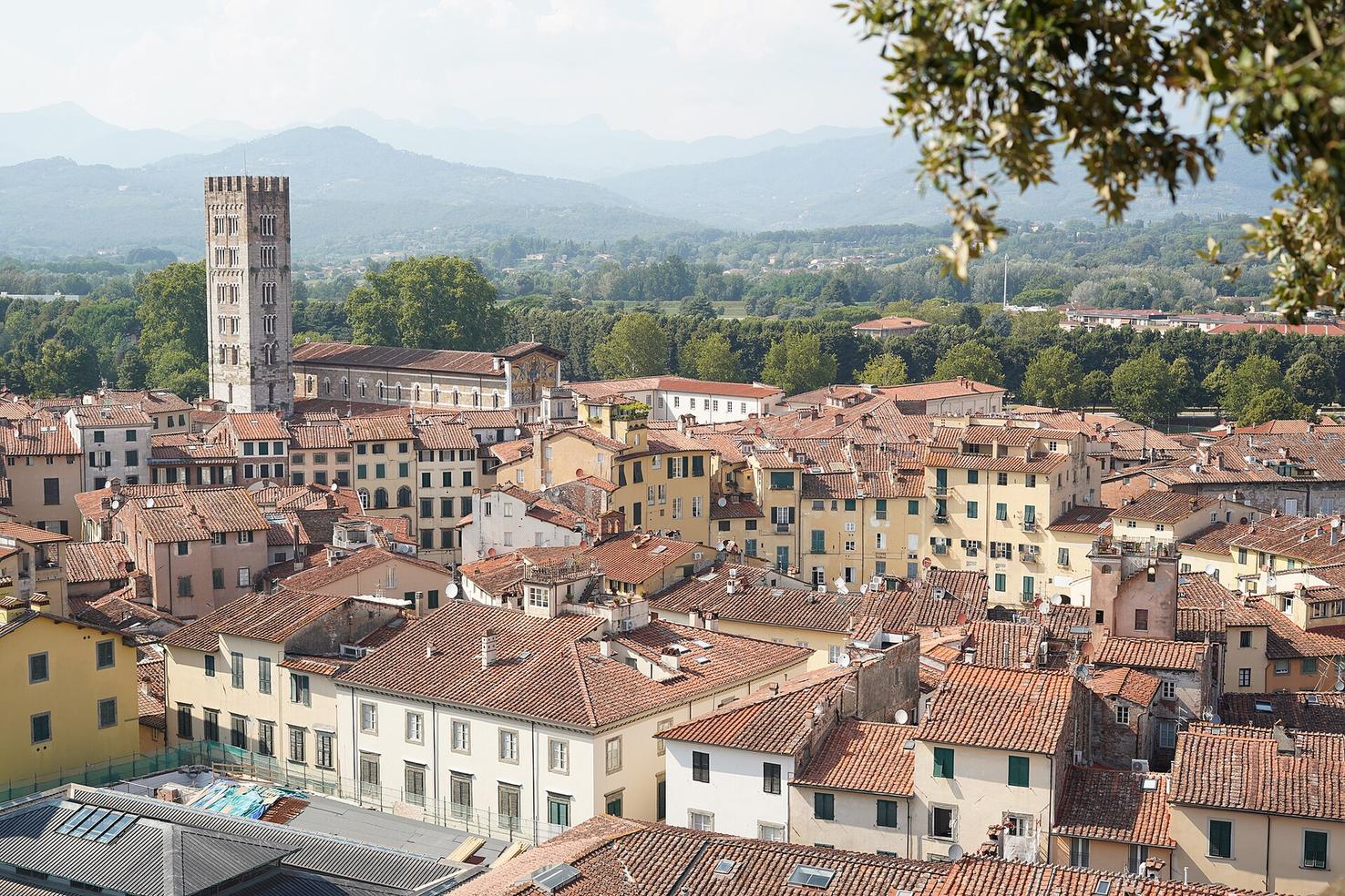 Lucca rooftops seen from Guinigi Tower, with the Apuan Alps beyond
